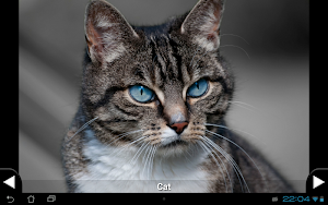 画像クリックでメニュー表示／非表示