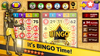 Game screenshot Bingo - Pharaoh's Way mod apk