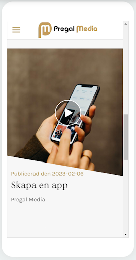 Pregal Media Webbyrå Screen 2