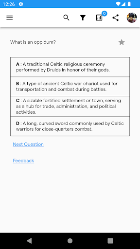 The Celts Screen 3