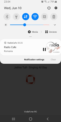 Radio Cafe Romania Screen 3