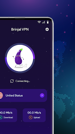 Brinjal VPN - Safer Internet