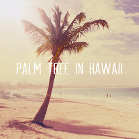 Cute Theme Palm Tree in Hawaii