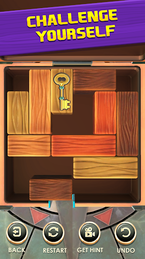 Unblock Puzzle: Slide Blocks 3.0.5017 screenshots 17