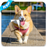 Jigsaw Puzzle Cutest Dog icon