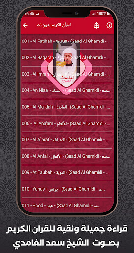 Quran Offline Saad Al Ghamidi Screen 2