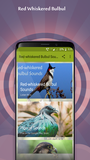 Android application Red-whiskered Bulbul Sounds screenshort