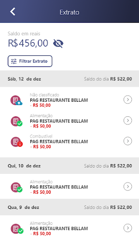 PagCorp Screen 3