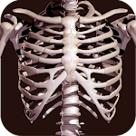 Osseous System in 3D (Anatomy) Apk