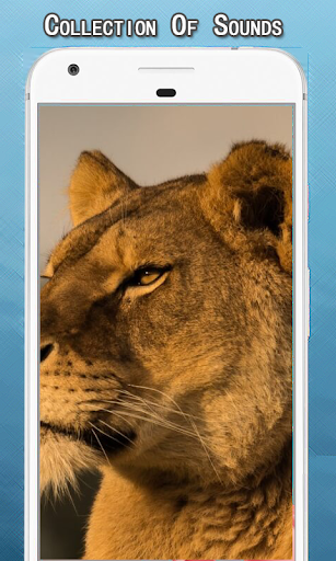 Android application Lion Sounds Ringtone screenshort