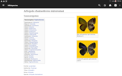 WikiSpecies