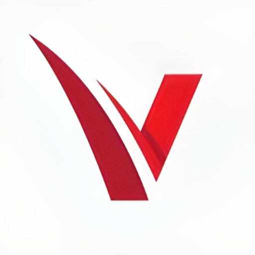 Vison Flex