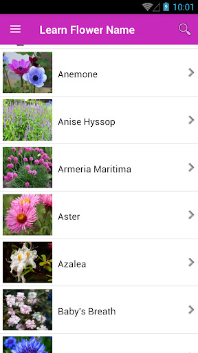 Learn Flower Name Screen 2