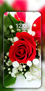 Rose Wallpaper HD Flower Image