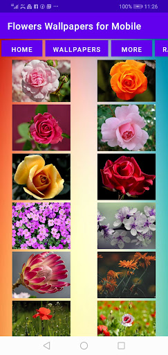 Flowers Wallpapers for Mobile Screen 3