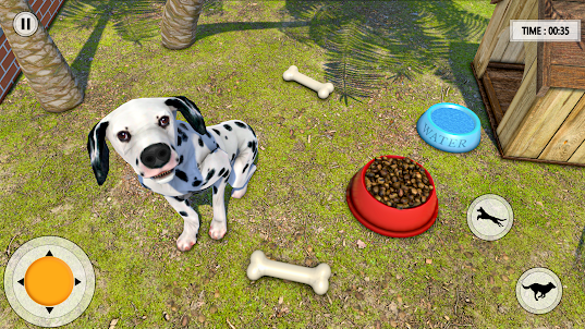Pet Animal Shelter Rescue Game
