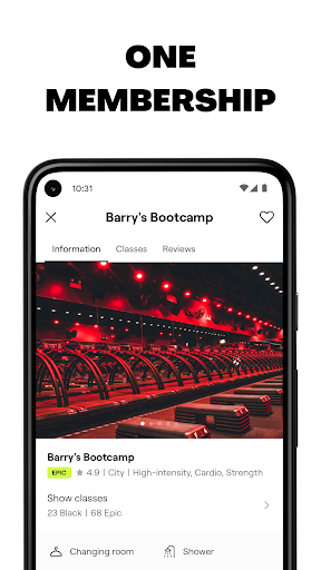 Screenshot of Bruce Studios