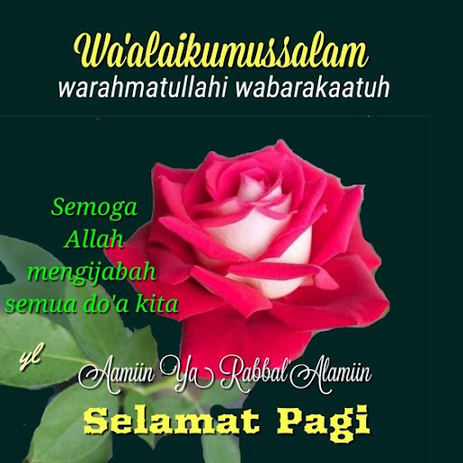 ? Koleksi WAALAIKUMSALAM  SELAMAT PAGI - Quotes