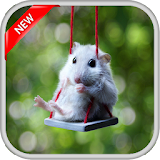 Cute Hamster Wallpapers icon