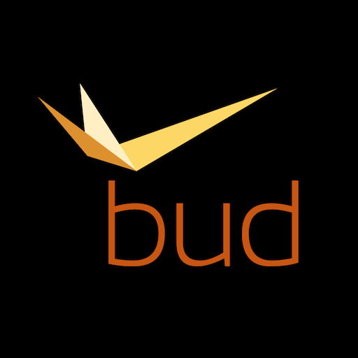 BUD Air Cargo Day Scarica su Windows