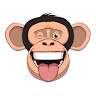 Wired Monkey