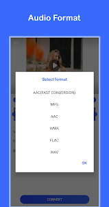 Video to MP3 Convert