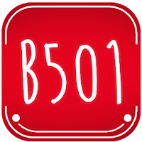 B501