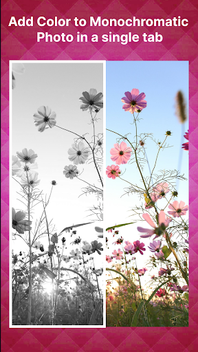AI Colorize Photo Restoration Screenshot 3 - AppWisp.com