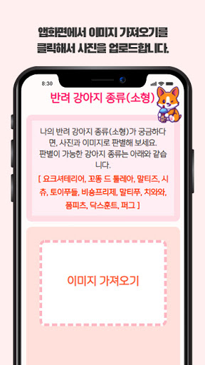 강아지 종류(소형) Screen 2