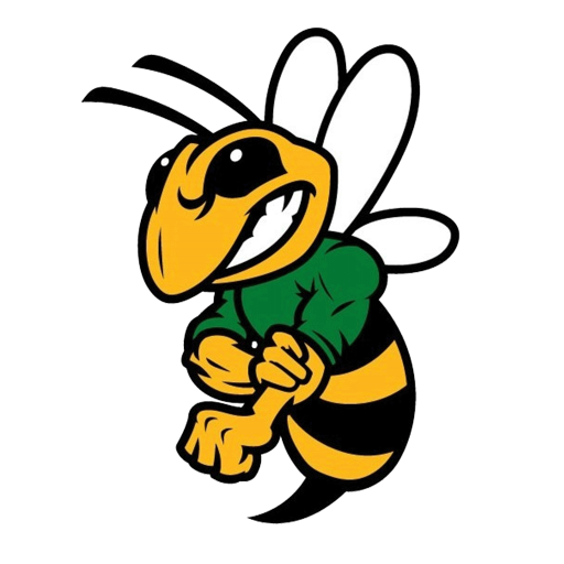 DCHornets logo