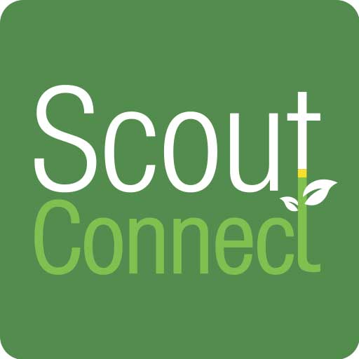 Scout Connect logo