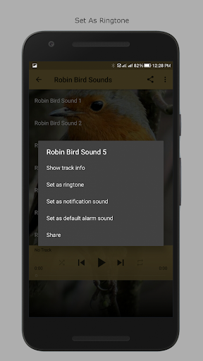 Robin Bird Sounds Screen 3