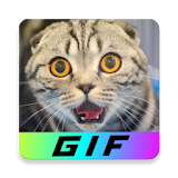 GIF funny Videos ? 20.000 GIFs to laugh ? icon