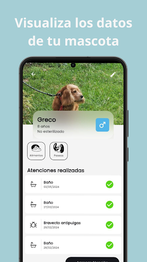 Petmeals Screen 3