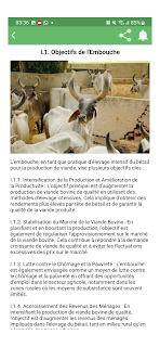 Embouche Bovine