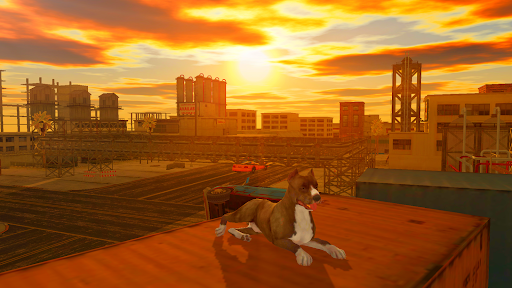 Pitbull Dog Simulator apkpoly screenshots 19