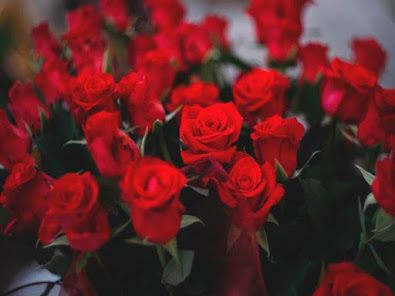 Imágen 10 Flores y Rosas Rojas imágenes  android