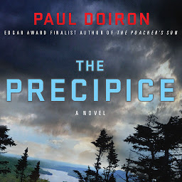 Icon image The Precipice: A Novel