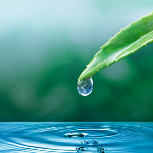 Water Sounds For Sleep, Relax logo