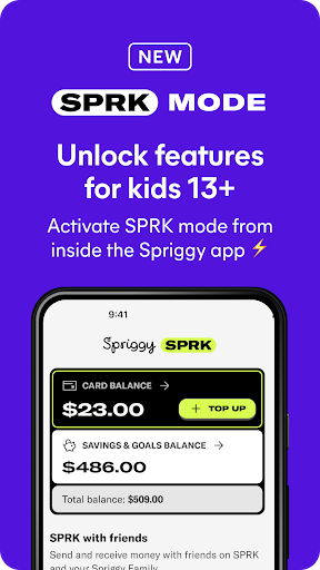 Spriggy Pocket Money Screen 2