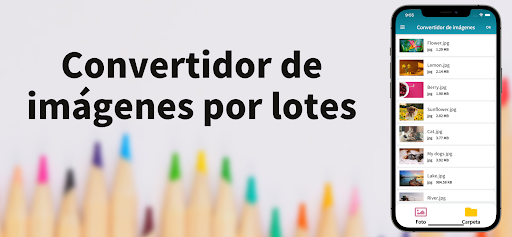 Vista previa de la aplicación