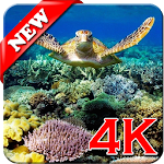 Cover Image of Télécharger Coral Reef Wallpaper 4K  APK