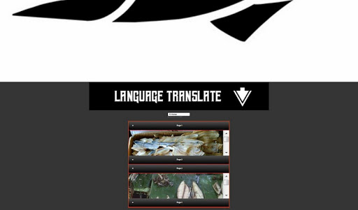 The Process of Making Salted F