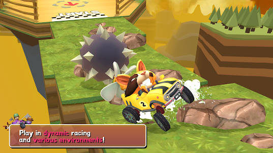 Meta Race