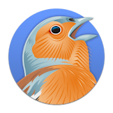 Birder icon