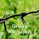 Grinko Wallpaper