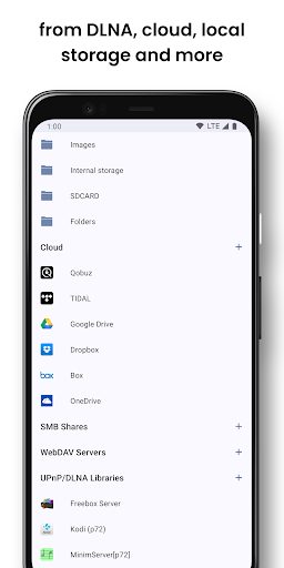 Dlna google on sale home