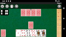 screenshot of Cribbage