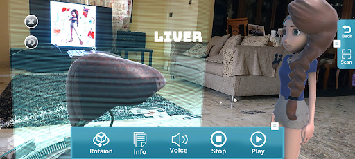 Lara Science Body Organs