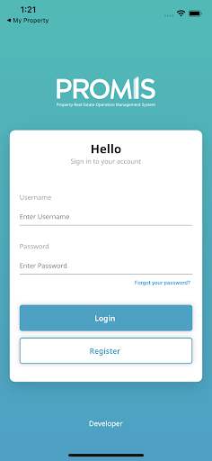 Promis - Developer Screen 2
